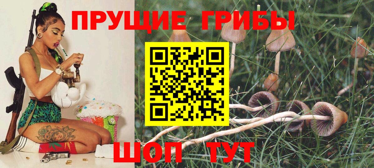 Псилоцибиновые грибы прущие грибы  Галлюциногенные грибы Psilocybe  Волжск  Вход с VPN 